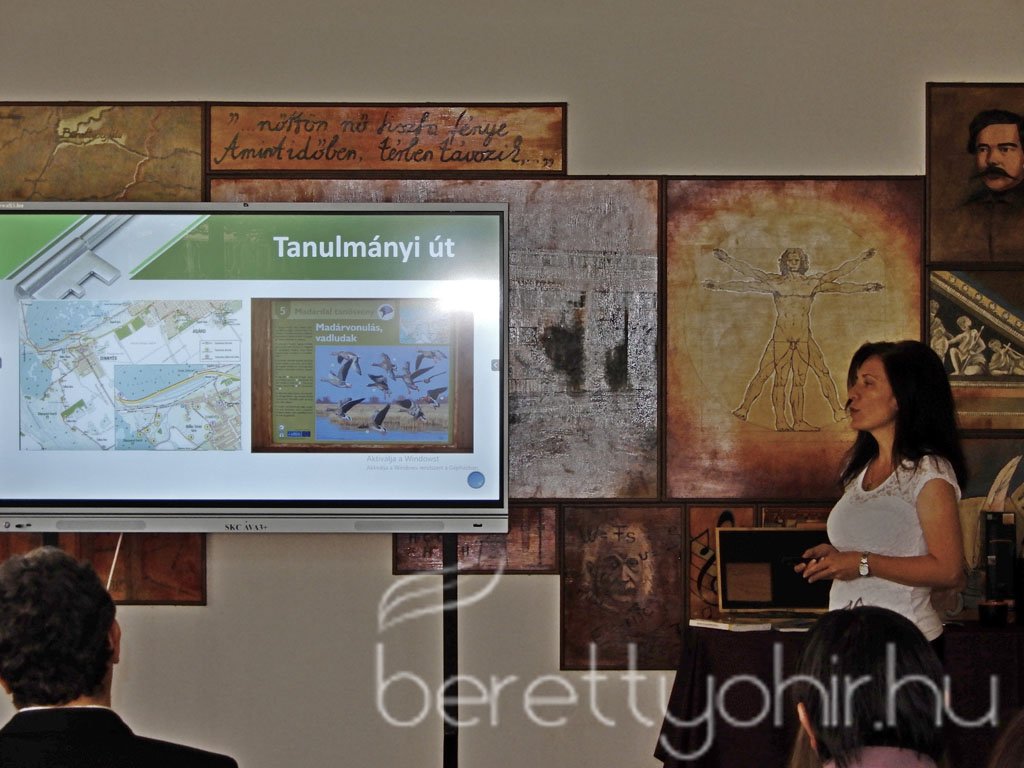 fenntartható egészség 18